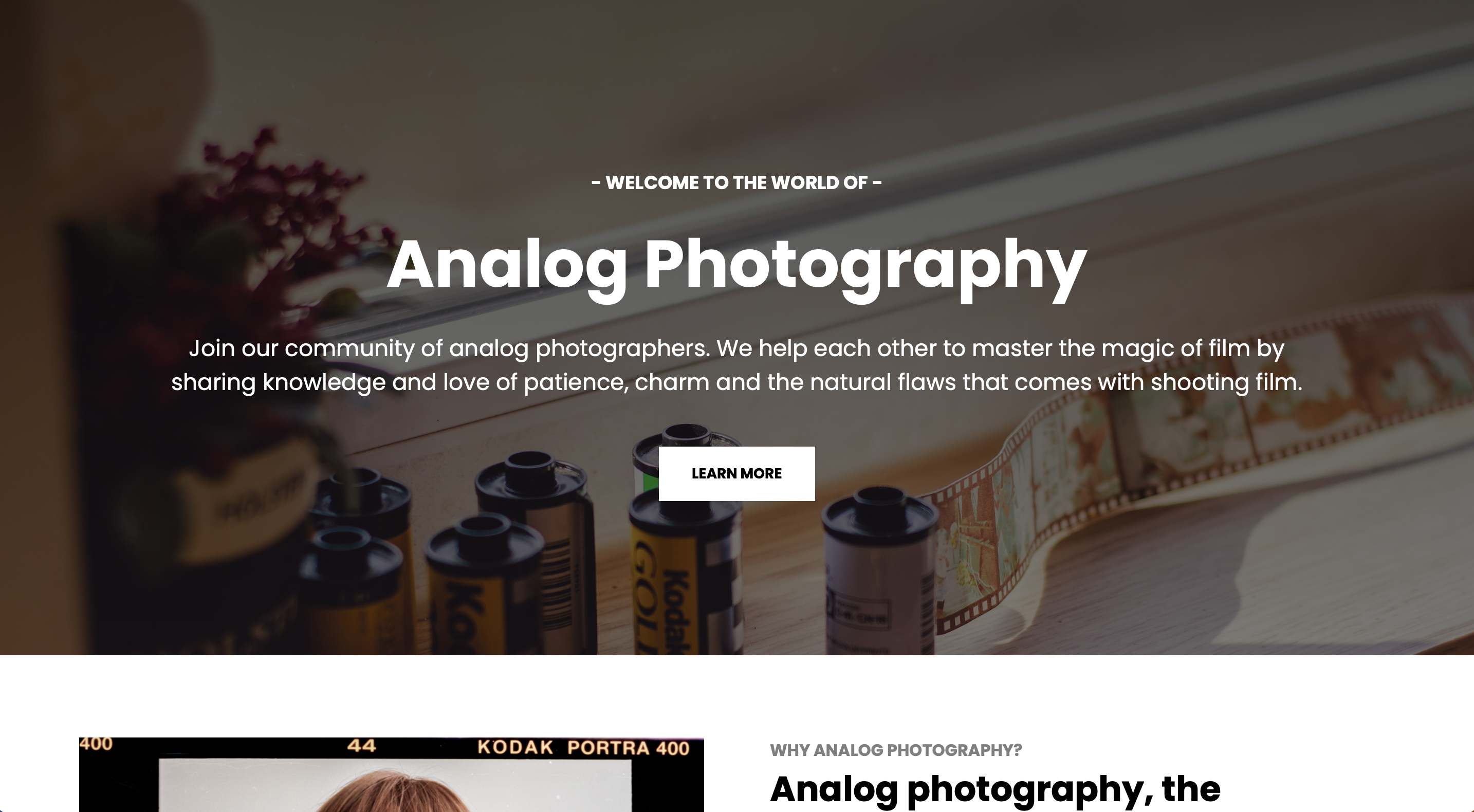 Screenshot from Analog Photography App